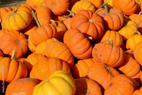 A lots of pumpkins