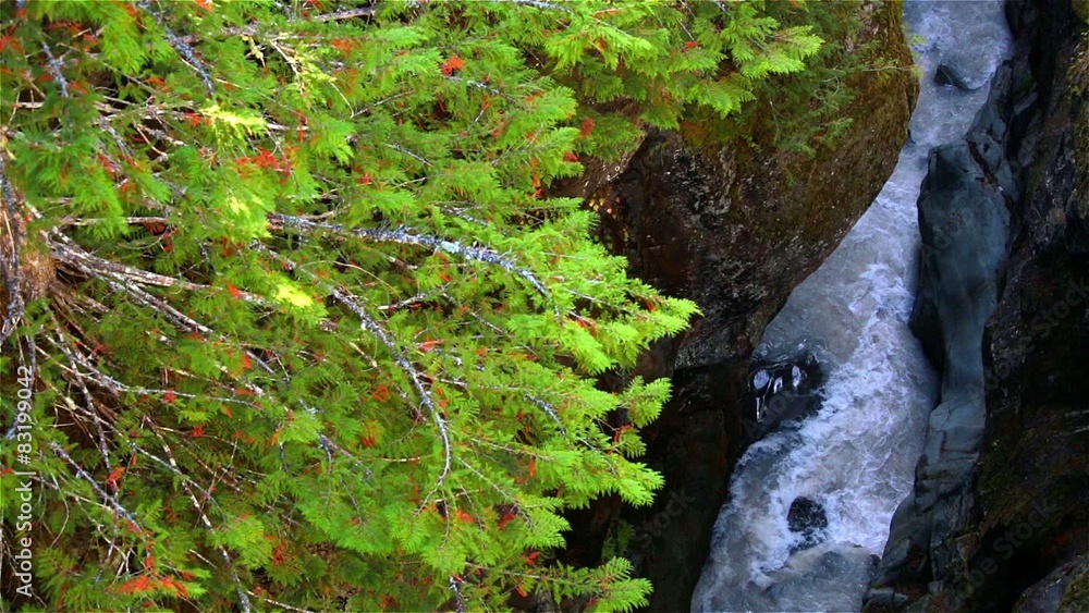 clean spring water stream clean spring water stream