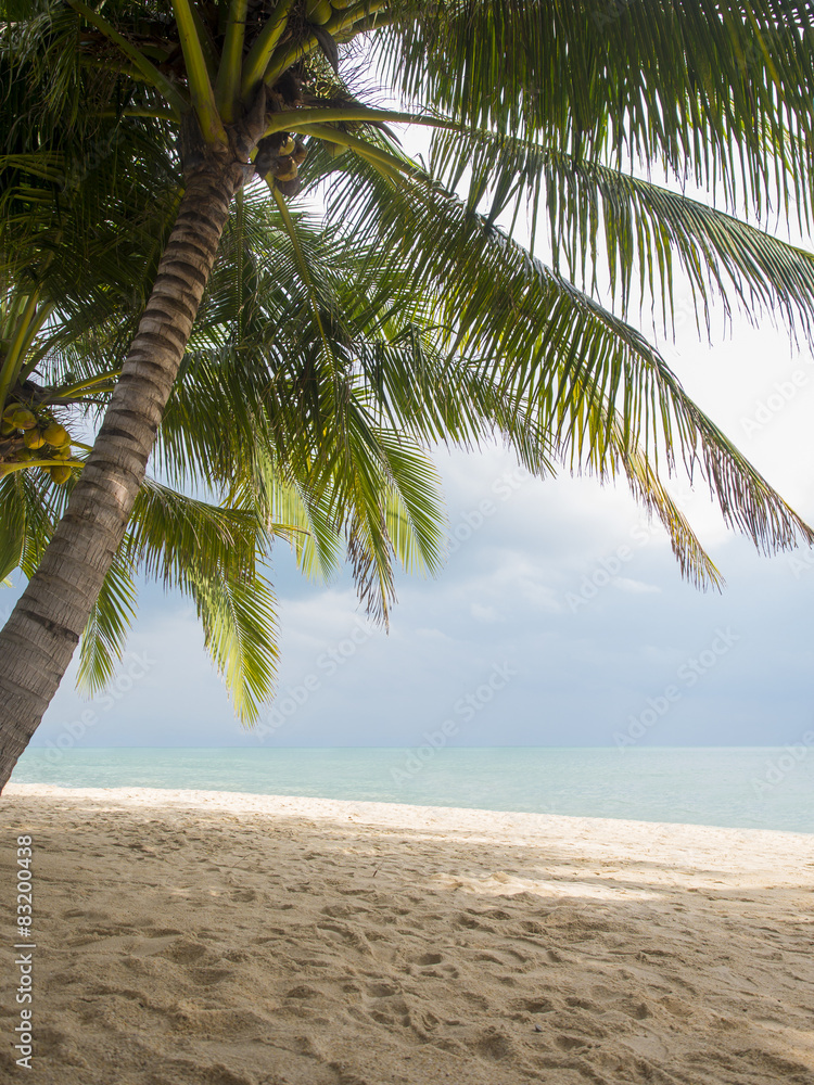 Fototapeta premium Koh Samui, Thailand Lamai Beach