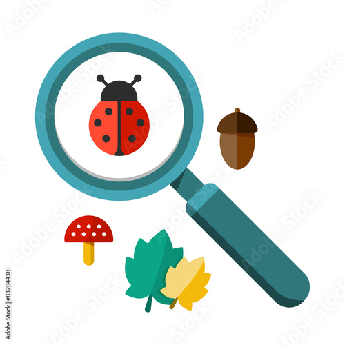 Ladybug and a magnifying glass