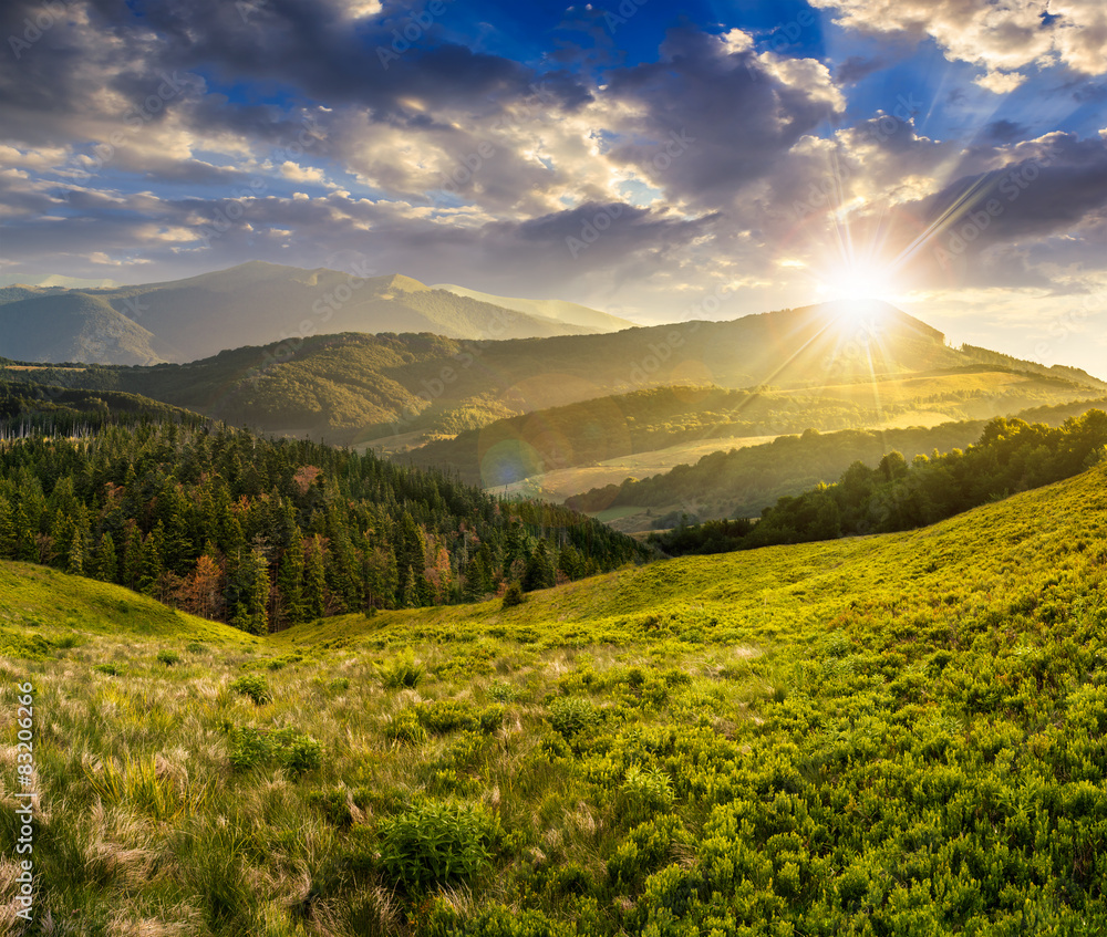Naklejka premium krajobraz z doliną i lasem w wysokich górach o zachodzie słońca