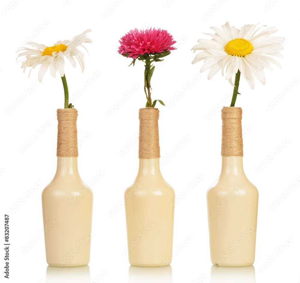 Three flowers in vases Three flowers in vases