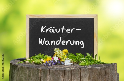 Kräuterwanderung