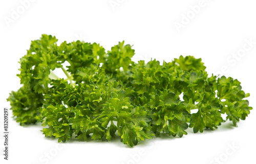 green leaves of parsley