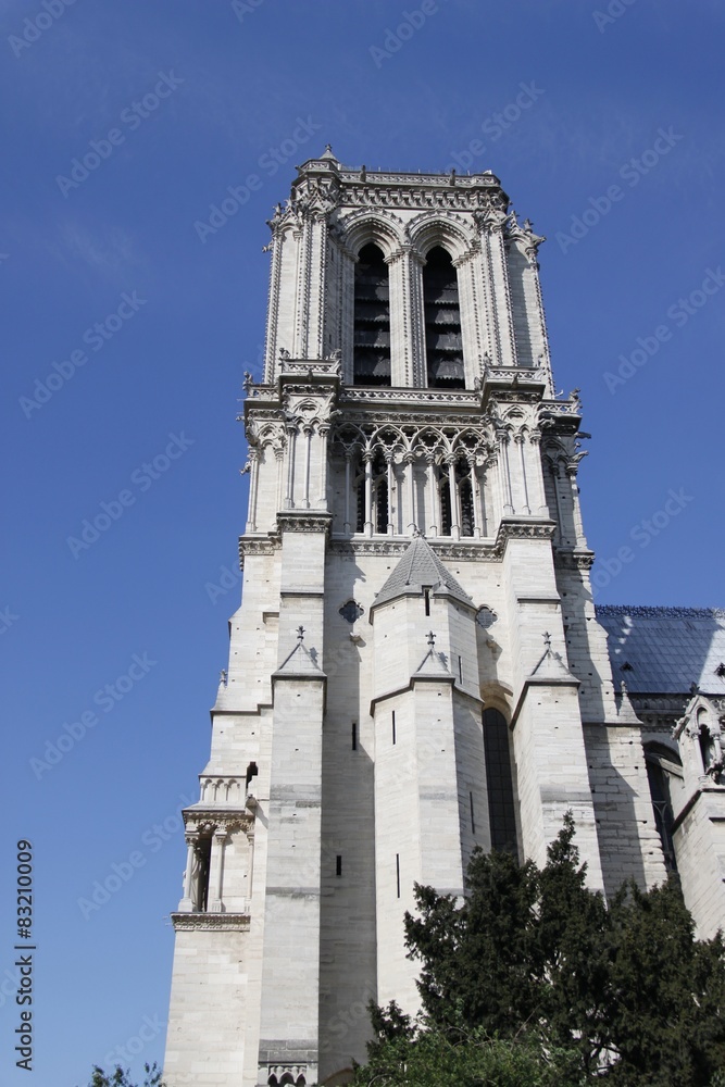 Tour de la Cathédrale Notre Dame de Paris	