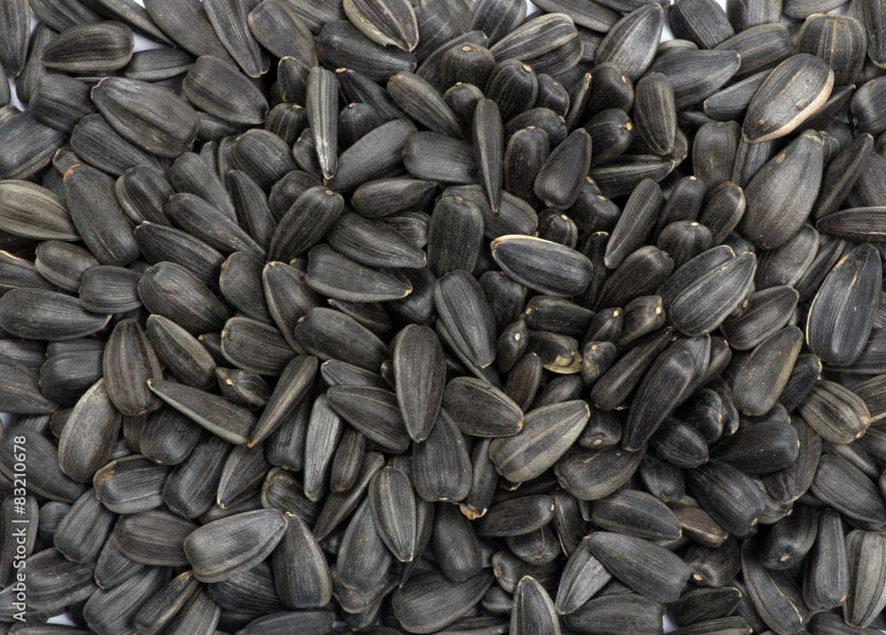 Sunflower seeds