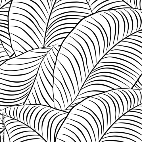 Black and white leaves vector background
