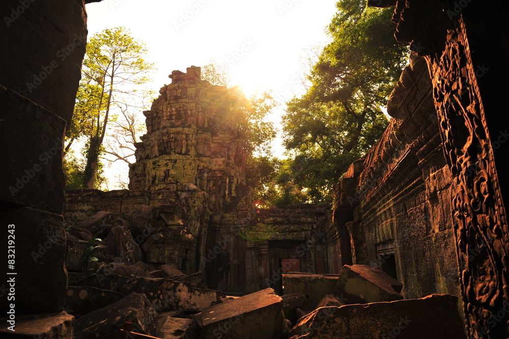 Ta Prohm Temple of Angkor Thom, Cambodia