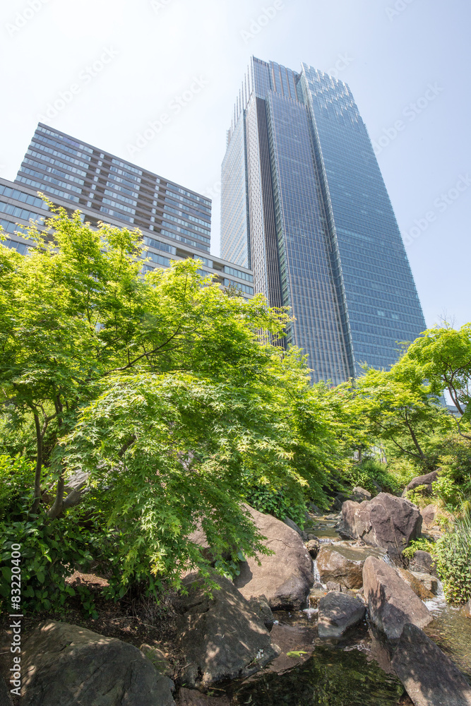 Fototapeta premium 新緑と高層ビルを捉えた都市・建築イメージ