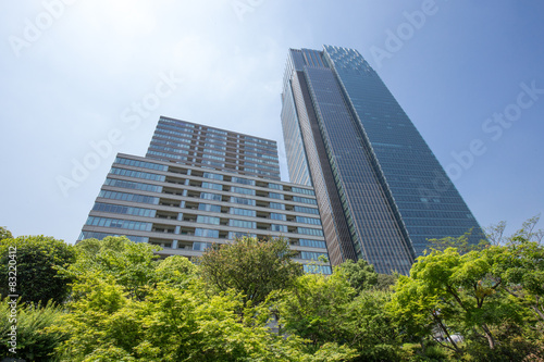新緑と高層ビル © Yoshinori Okada
