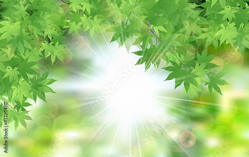 Summer fresh leaf green leaves with sun rays