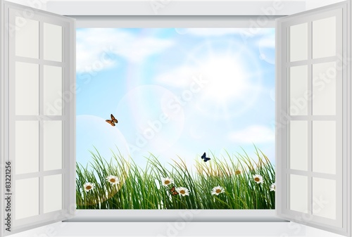 Open window with flowers and butterfly 