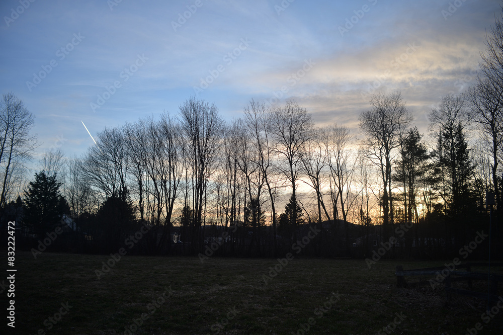 Obraz premium Bare trees at sunset