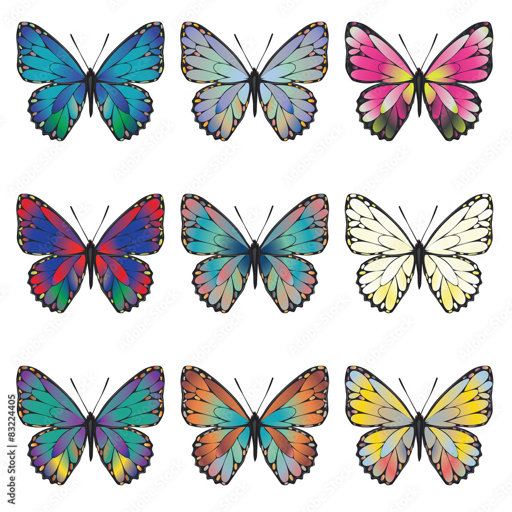 Obraz premium Butterflies Set