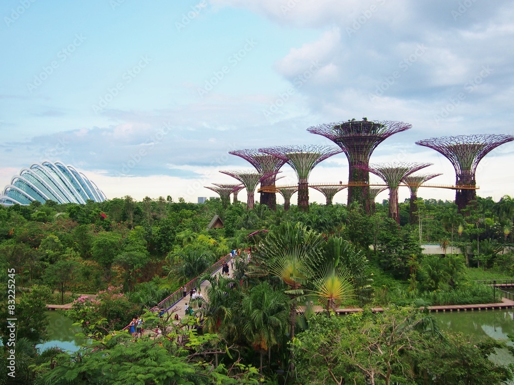 Obraz premium Garden by the bay and Supertree Grove at singapore.