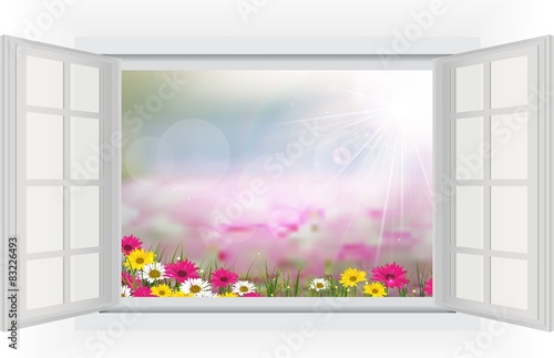 Fototapeta Naklejka Na Ścianę i Meble -  Open window with Beautiful flower is in the rays of light