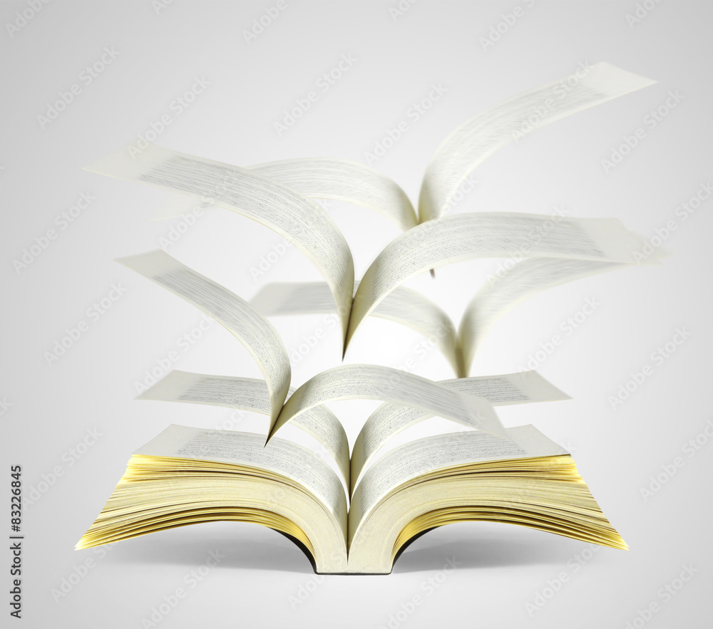 Obraz premium Open magic book