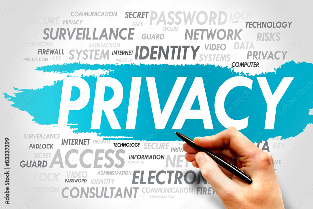 PRIVACY word cloud, business concept PRIVACY word cloud, business concept