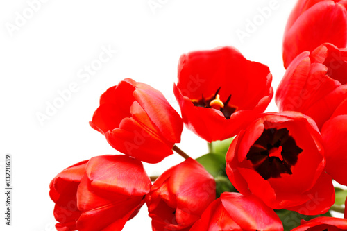 Bouquet of fresh tulips, closeup