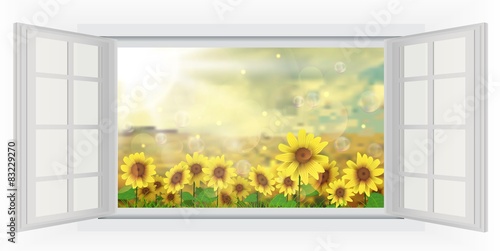 Fototapeta Naklejka Na Ścianę i Meble -  Beautiful summer with sunflower of opened window view