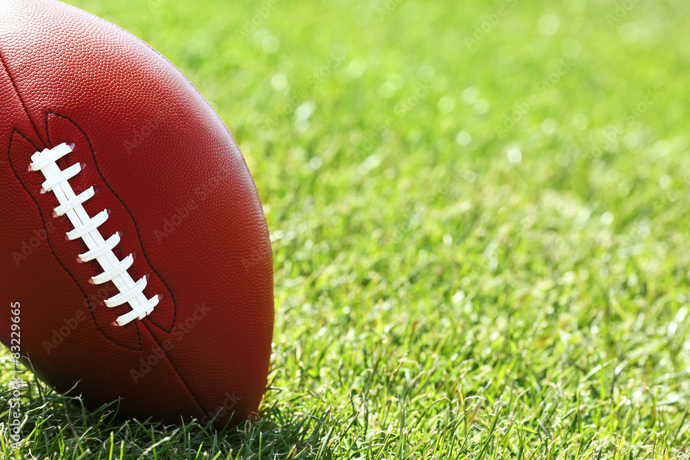 Obraz premium Rugby ball on green field