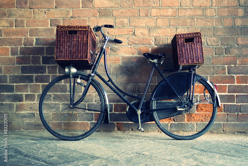 Old style bicycle with baskets © Dmytro Surkov