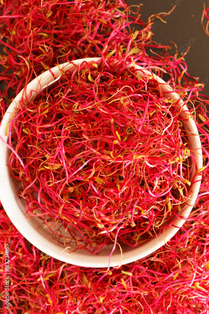 Fototapeta premium beetroot sprouts