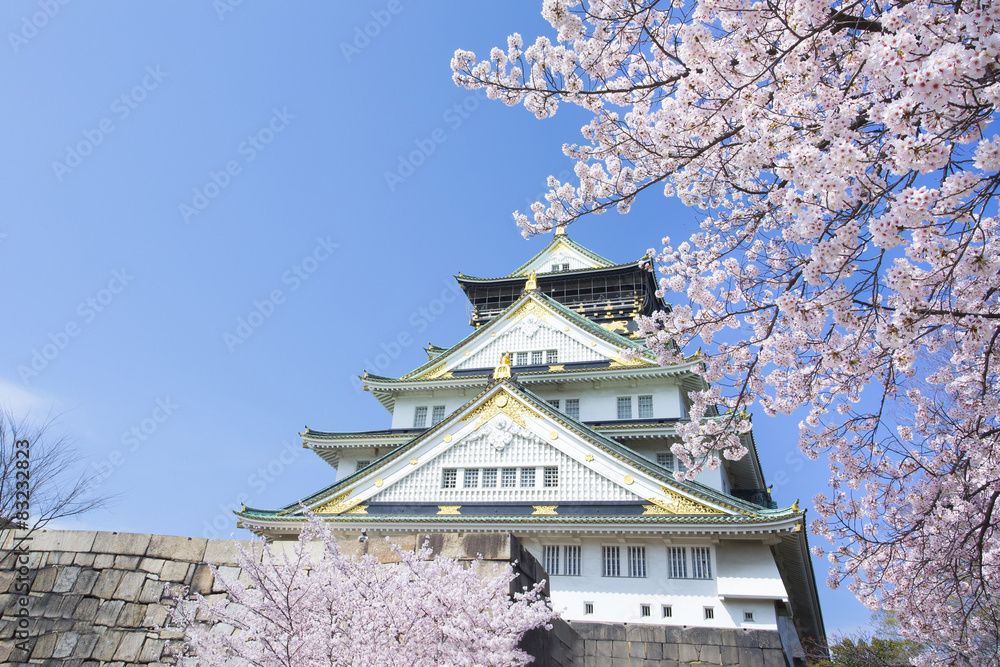 桜と春の大阪城 桜と春の大阪城