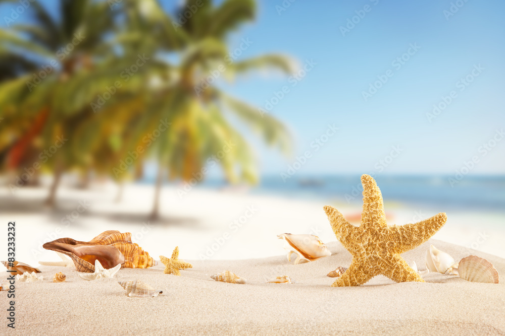 Naklejka premium Sandy beach with seashells
