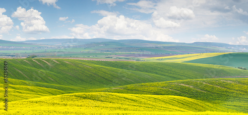 Panoramic background of colorful yellow-green hills with blue sk