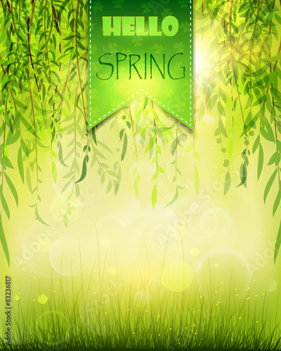 spring willow 3