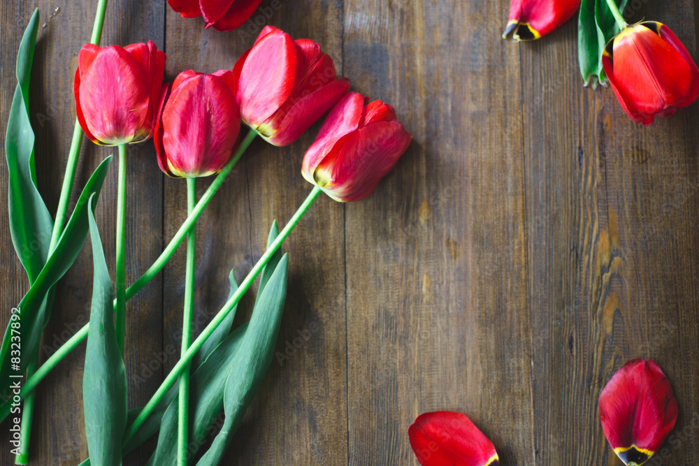 red fresh cuted tulips on a dark wood rustic background