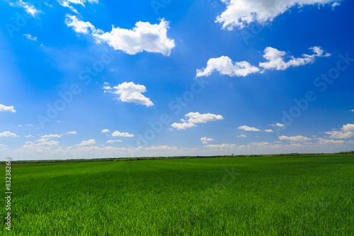 green field with the blue sky