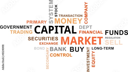 word cloud - capital market