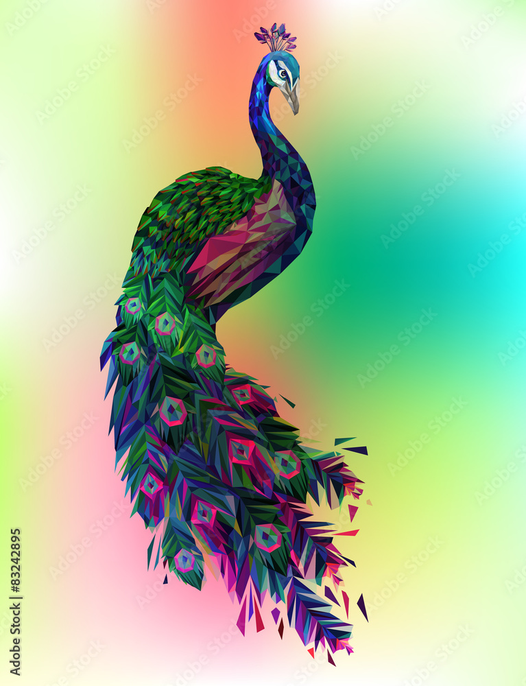 Obraz premium Vector polygonal peacock illustration. 