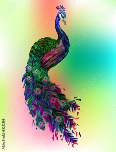 Vector polygonal peacock illustration. 