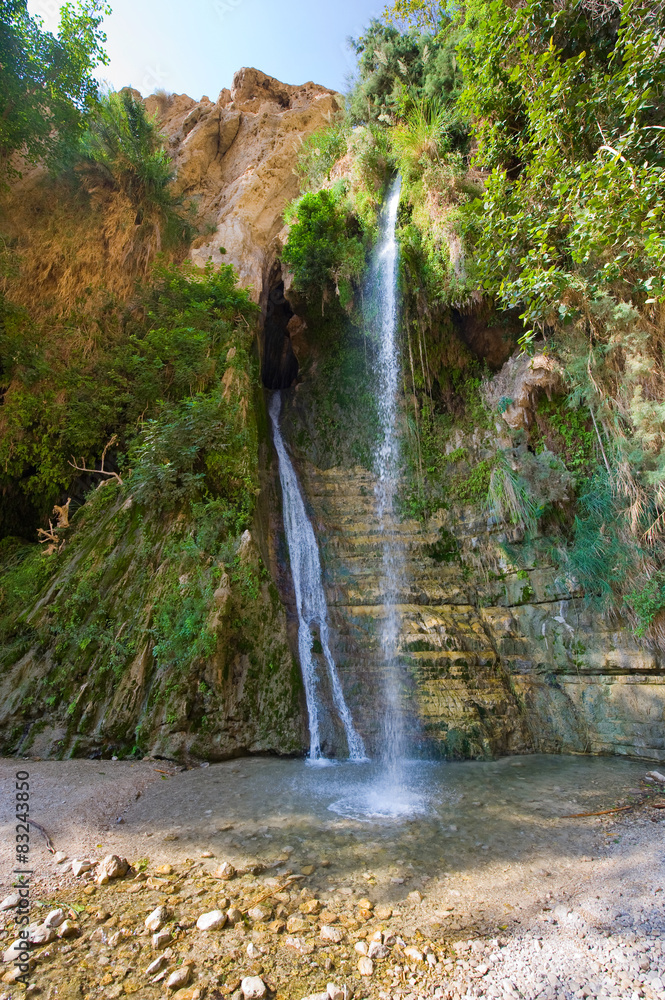 Fototapeta premium Ein Gedi