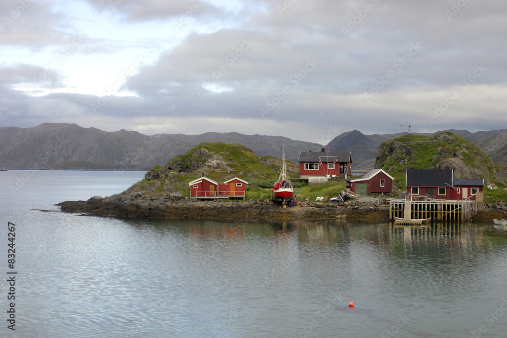 norvegia norvegia