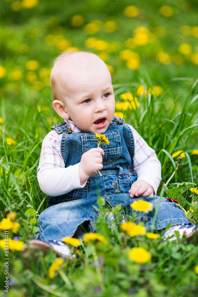 Cute baby boy sitting on a lawn with dandelions Cute baby boy sitting on a lawn with dandelions