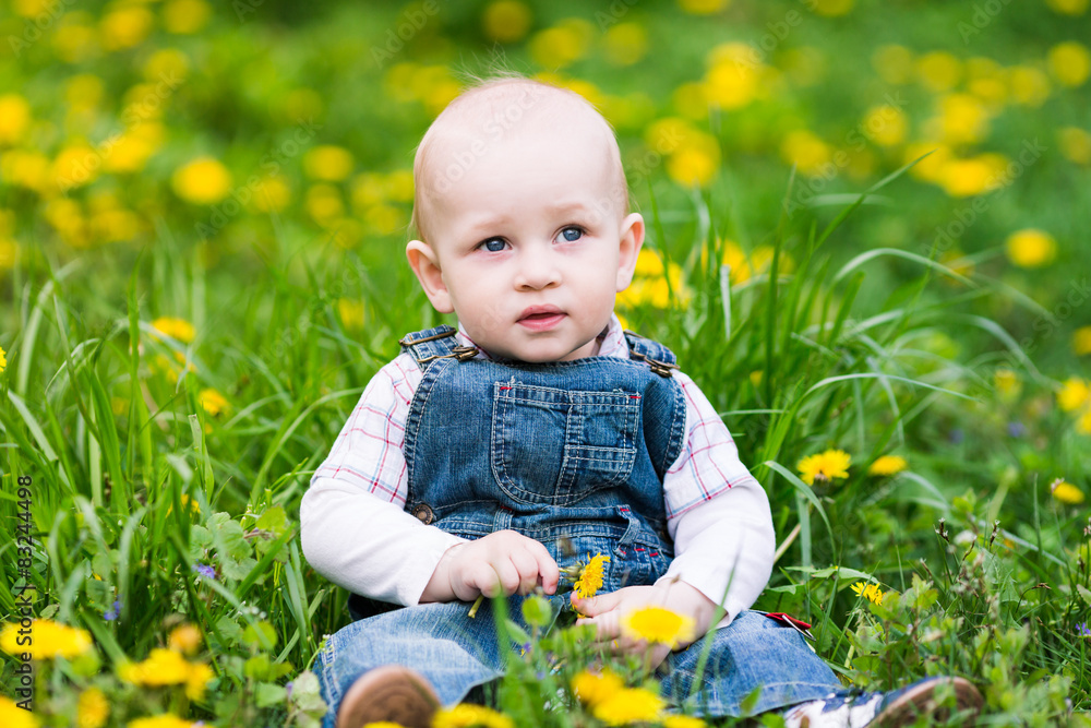 Cute baby boy sitting on a lawn with dandelions Cute baby boy sitting on a lawn with dandelions