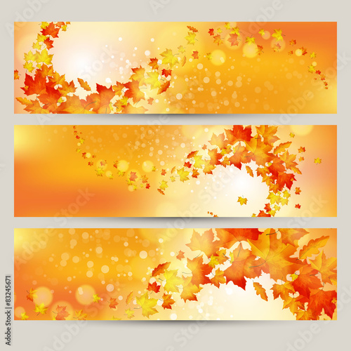 Vector set of colorful autumn leaves banners illustration 