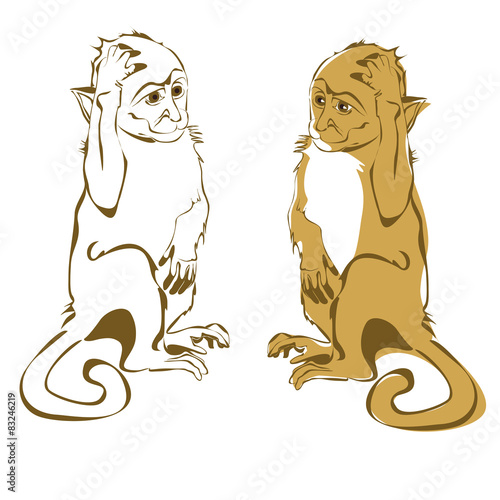 Funny monkey