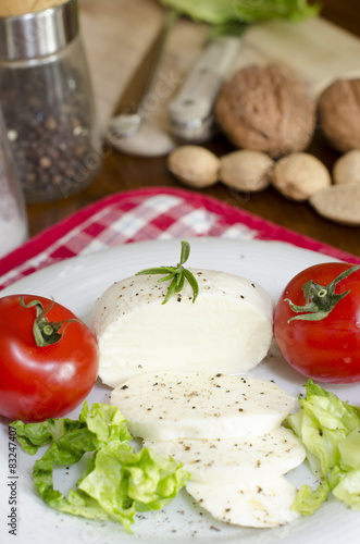 Mozzarella with salad and tomatoes and some ingredients