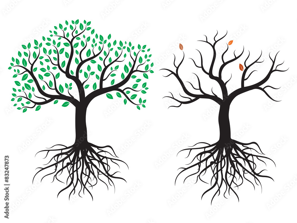 2 vector tree with roots and leafs. 2 vector tree with roots and leafs.