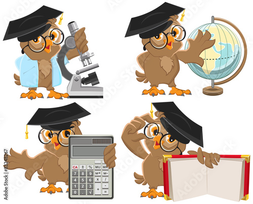 Set owls teachers