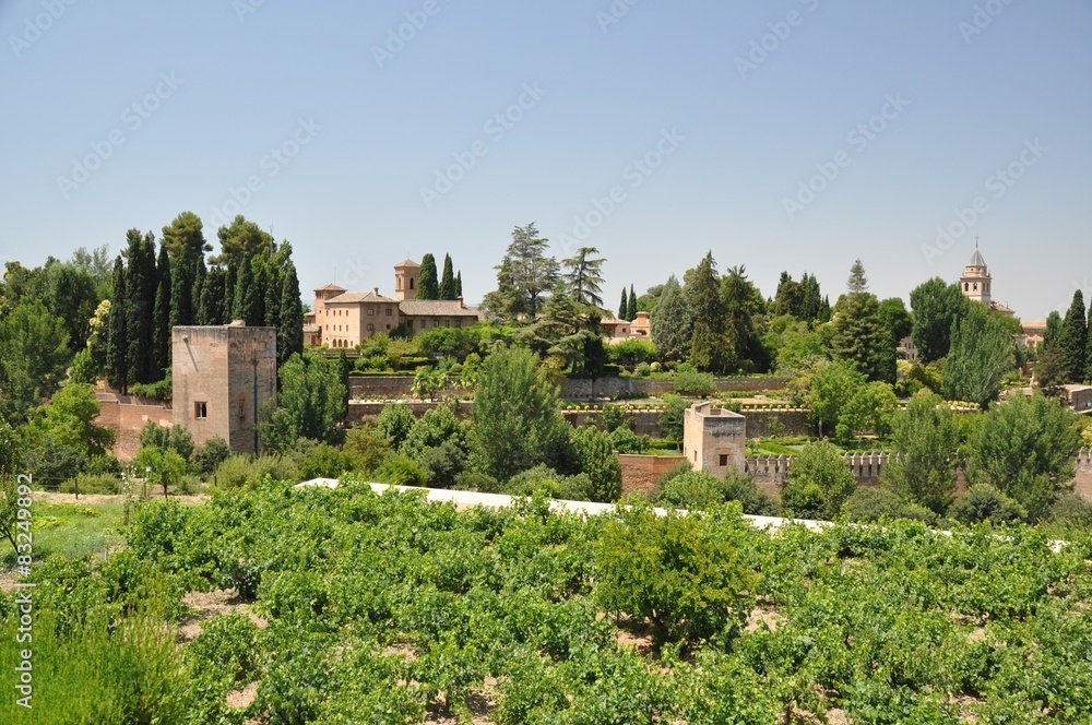 Fototapeta premium Alhambra in Granada