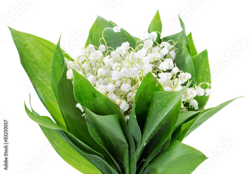 bouquet of lily of the valley isolated on the white background
