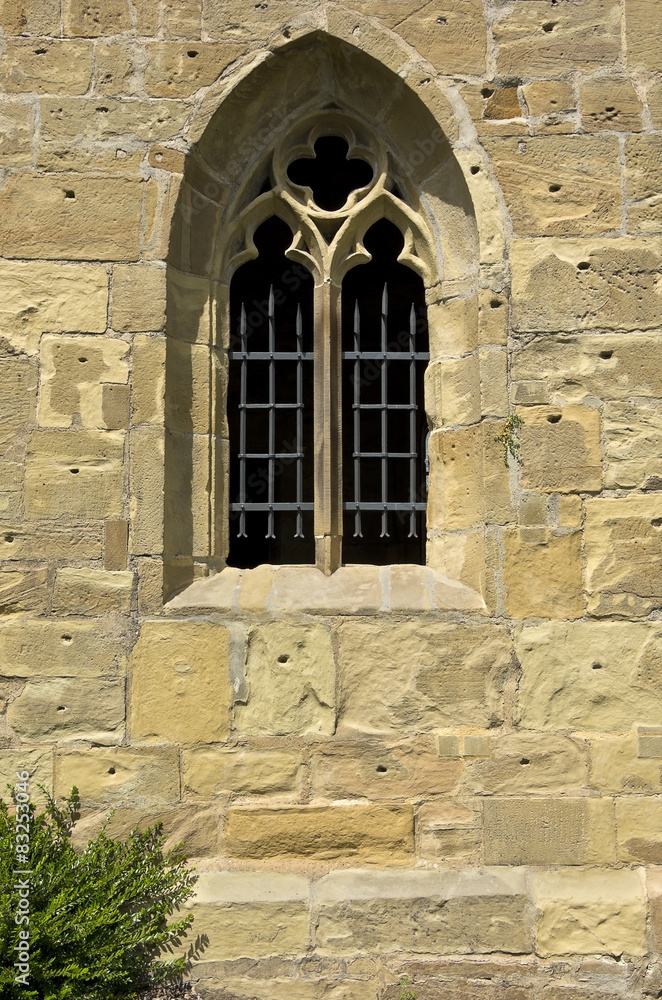 Fototapeta premium Gotisches Fenster