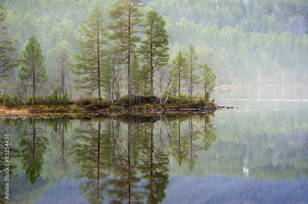 Reflection on a norwegian fiord