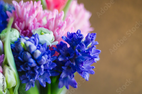 Spring flower hyacinth in bouquet macro soft photo